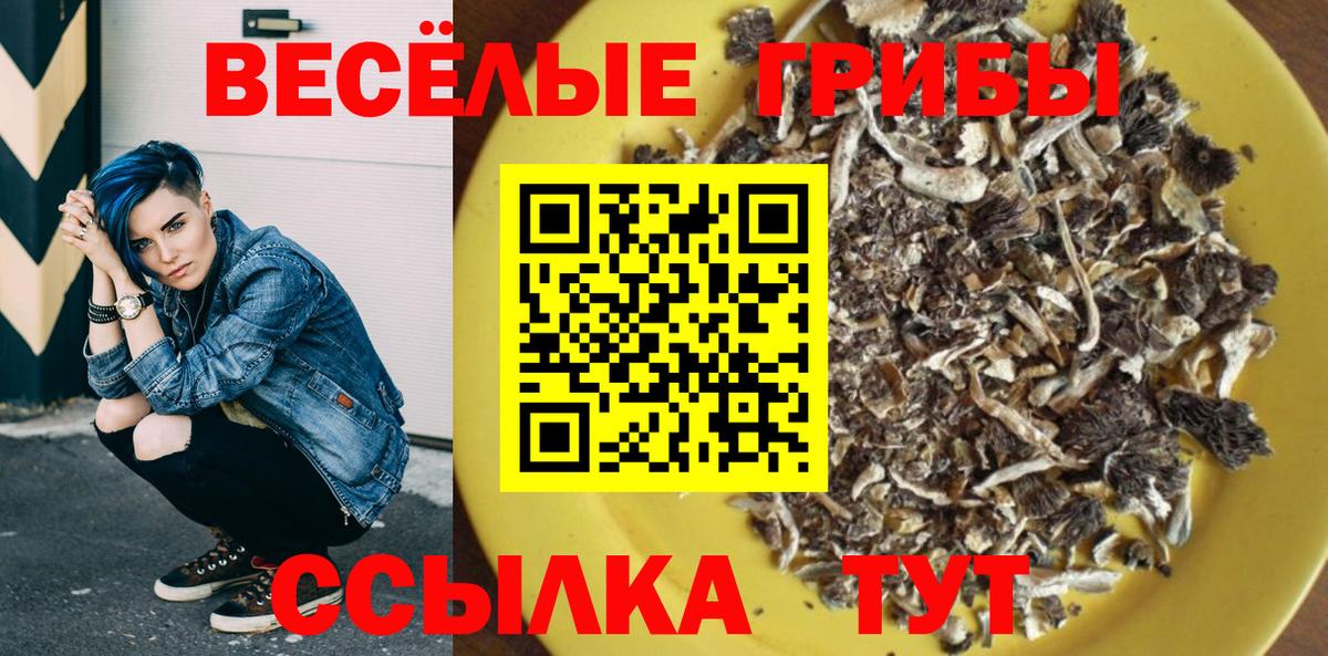 Псилоцибиновые грибы мухоморы Северск